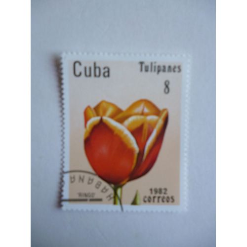 Timbre "Cuba 1982 :Tulipe Ringo".