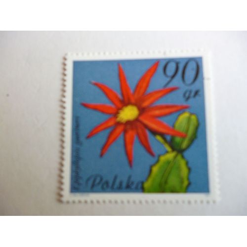 Timbre "Pologne :Epiphilopsis".