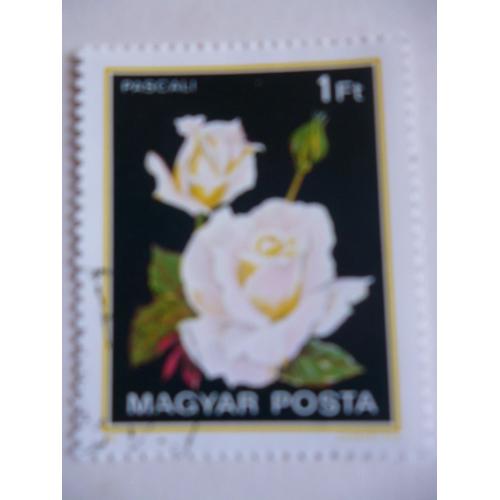 Timbre "Magyar Posta :Rose Pascale".