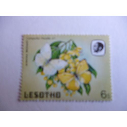 Timbre "Lesotho :Catopsilia Florella".