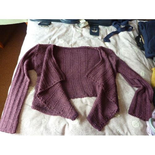 Pull Bordeaux Court T36