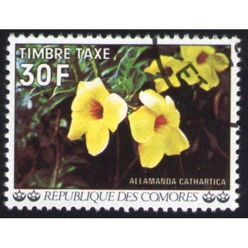 Comores 1977 Timbre Taxe Oblitération Ronde Used Stamp Arbuste Grimpant Allamanda Cathartica
