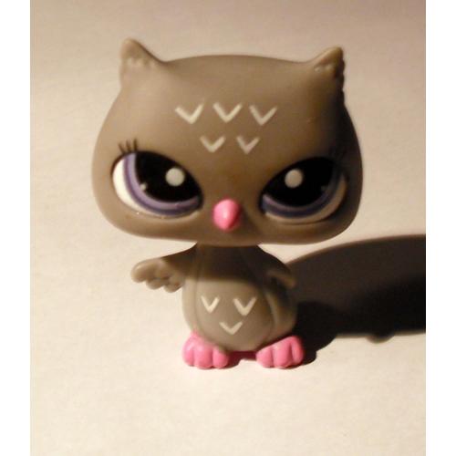 Petshop Hibou N°2507