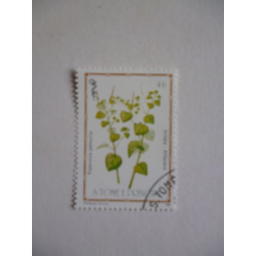 Timbre "Tome E Principe 1983 : Piperonia Pallucila".