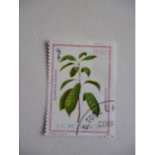 Timbre "Tome E Principe 1983 : Buchholzia Coriacea".