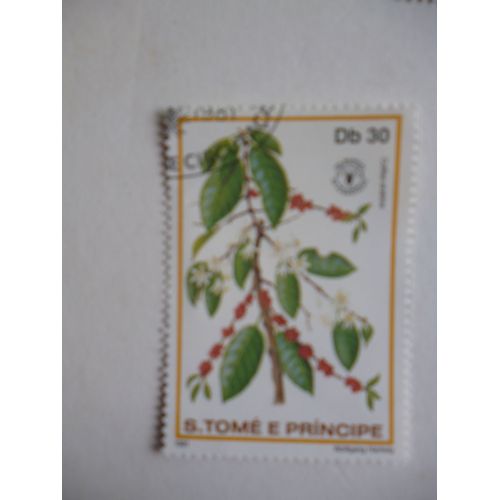 Timbre "Tome E Principe 1981 : Coffea Arabica "
