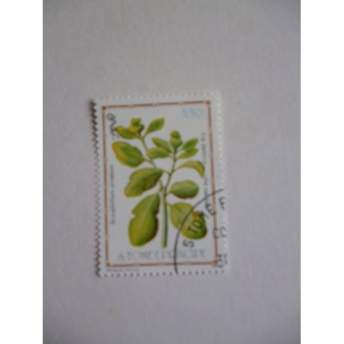 Timbre "Tome E Principe 1983 :Bryophillum Pinatum".