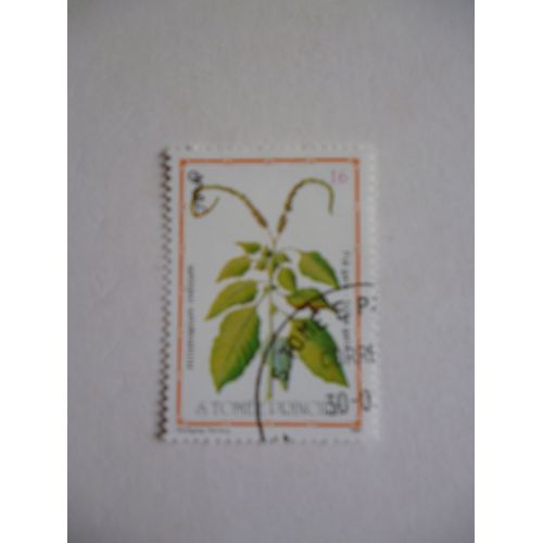 Timbre "Tome E Principe 1983 : Hyliotropum Indicum".