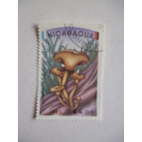 Timbre "Nicaragua 1985 :Champignon :Gyrodon Merulioides".