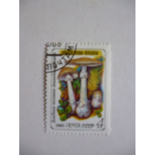 Timbre "Urss 1986 :Champignon :Amanite Phalloïde".