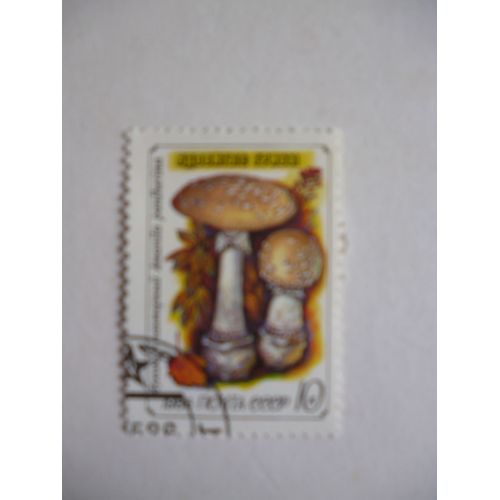 Timbre "Urss 1986 :Champignon :Amanite Panthère".