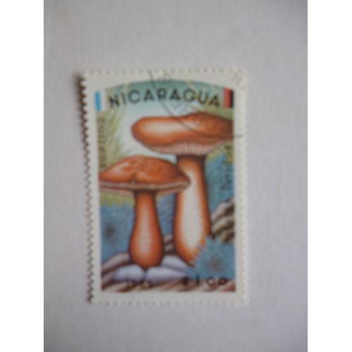 Timbre "Nicaragua 1985 :Champignon : Boletus Luridus".