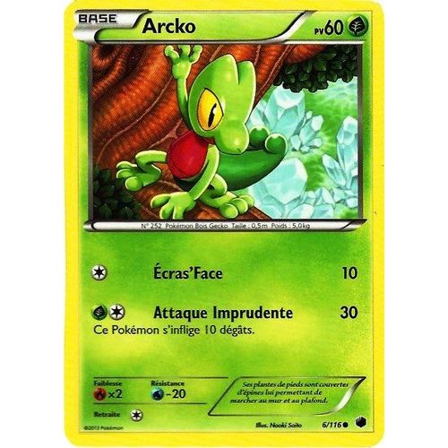 Carte Pokémon Arcko 60 Pv 6/116 Glaciation Plasma Neuf Fr