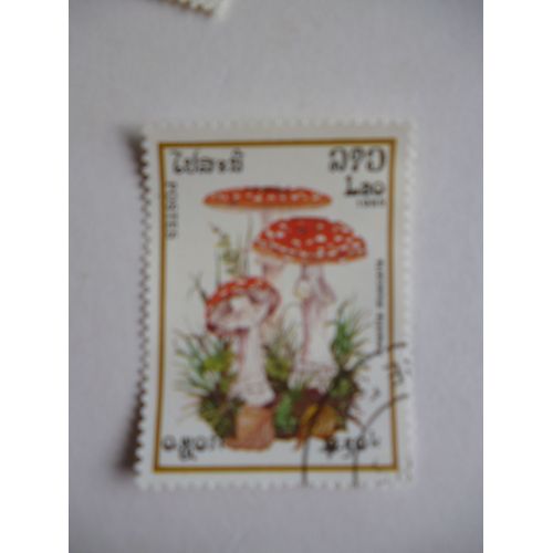 Timbre "Laos 1985 :Champignon :Amanite Muscaria :Amanite Tue Mouche".