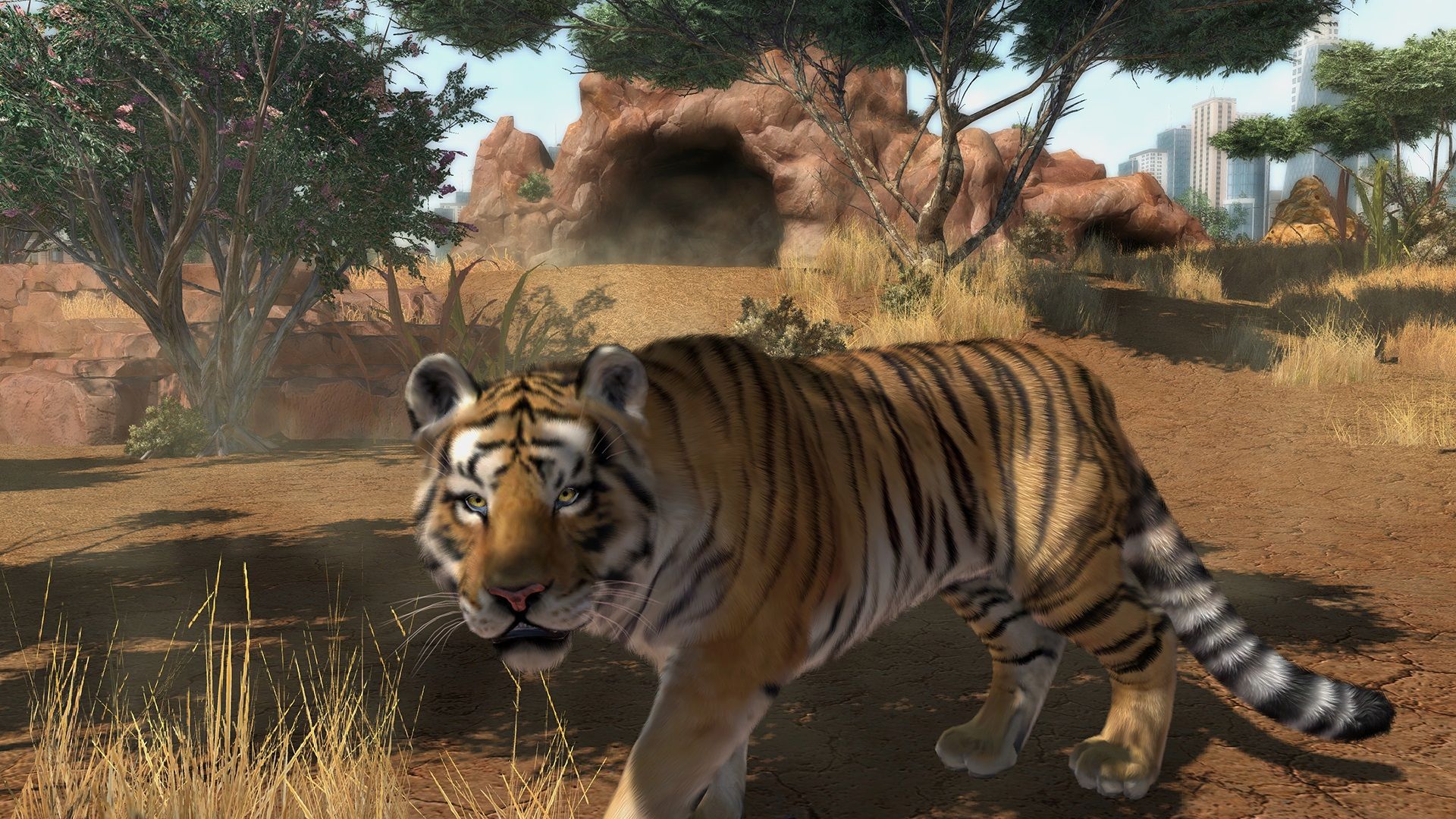 Zoo Tycoon_image_7|Rakuten