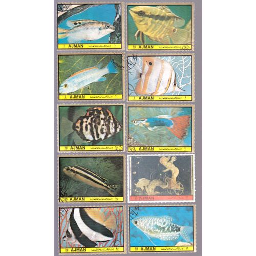 Lot De 10 Timbres Poissons  Obliteres  Grand Format Ajman
