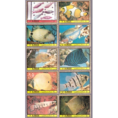 Lot De 10 Timbres Poissons Obliteres  Grand Format Ajman