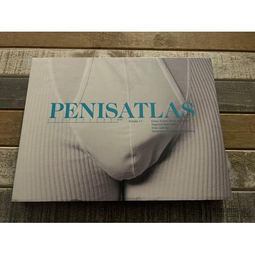 公式 PENISATLAS