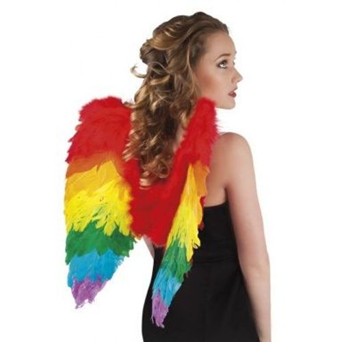 Ailes Bridget 3 Couleurs Ass. (50 X 36 Cm)