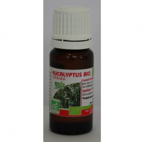 Huile Essentielle Eucalyptus Globulus Bio - 10ml 