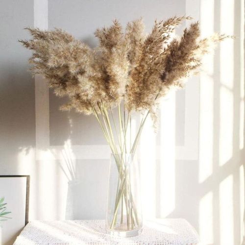 Pack de 20 décoration herbe de pampa séchée, décoration herbe de pampa, fleurs séchées 55cm, goodnice