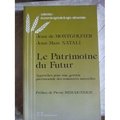 Le Patrimoine Du Futur - Approches Pour Une Gestion Patrimoniale Des Ressources Naturelles