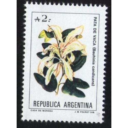Argentine 1988 Avec Gomme Stamp Plante Bauhinia Candicans Ou Forficata