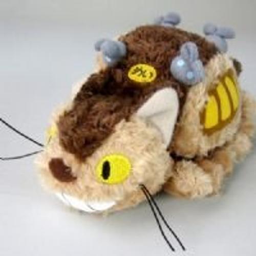 Totoro - Chat Bus 25cm