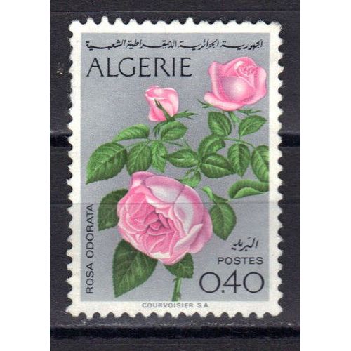 Algerie 1973 : Fleur : Roses : Rosa Odorata - Timbre 40 C. Oblitéré 