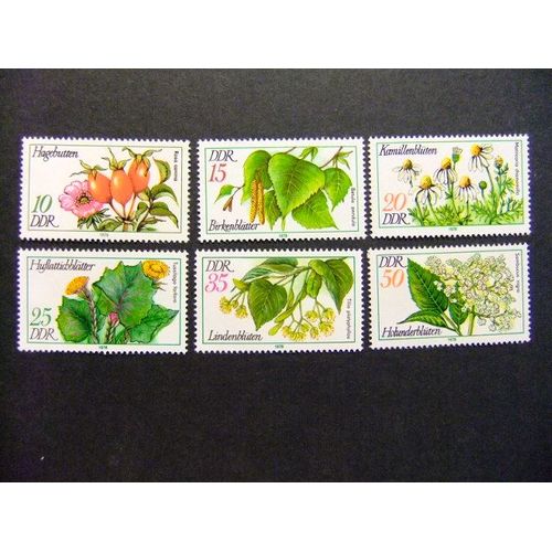 Allemagne Orientale - Ddr -1978 - Flore - Flora -Plantes Yvert & Tellier Nº 1957 / 1962 ** Mnh