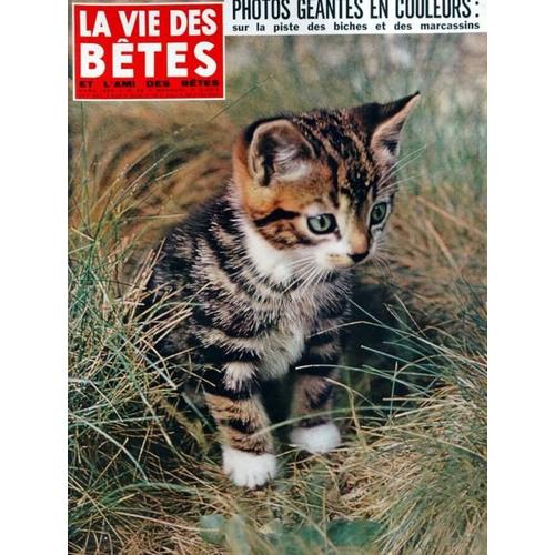 Vie Des Betes (La) N° 68 Du 01/03/1964 - Les Betes De L'ile D'aran - Aime Michel - Mirka  -   La Lionne - La Chevechette  -   Pygmee Des Rapaces Nocturnes - Reserves Americaines - Le Boeuf Musque - Isards - Oiseaux Rares - Daine  -   Biche Et Marc...