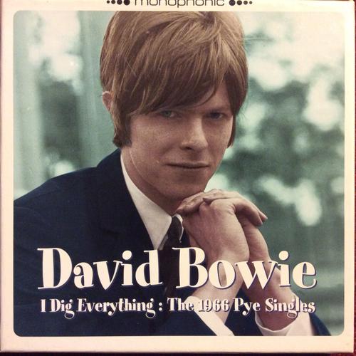 I Dig Everything - The 1966 Pye Singles