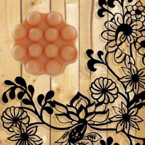 Shampoing Solide Cheveux Normaux Parfum Mandarine 55g 