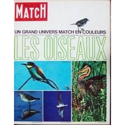 Paris Match N° 838 Du 01/05/1965 - Les Oiseaux. Antonio Ordonez De Gaulle : Campagne Presidentielle Elizabeth D'angleterre : 39 Ans Hussein De Jordanie Les Oiseaux Michaâ L Chaplin Fils De Charlot Paul Robert Devient Un Dictionnaire Pourquoi Le Mo...