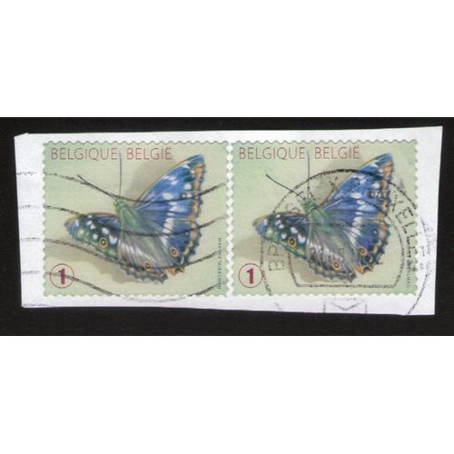 Belgique Lot 2 Oblitérés Used Stamp Papillons De La Boîte Papilio Sur Fragment