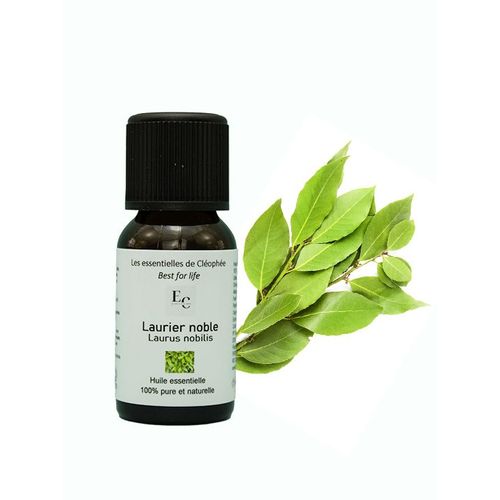 Huile Essentielle De Laurier Noble - 30 Ml 