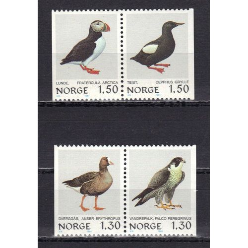 Norvege 1981 : Oiseaux : Fratercula Arctica / Cepphus Grylle / Anser Erythropus / Falco Peregrinus - Série Entière De 4 Timbres Neufs ** Attenants 2 À 2