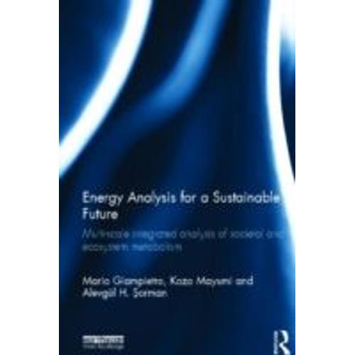 Energy Analysis For A Sustainable Future