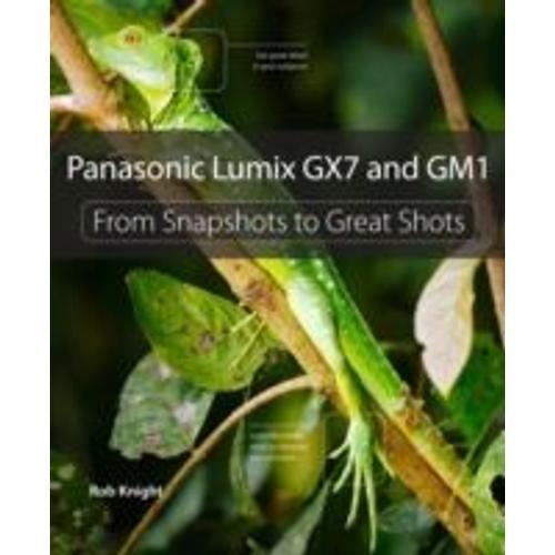 Panasonic Lumix Gx7 And Gm1