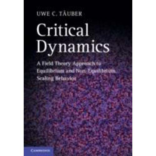 Critical Dynamics - A Field Theory Approach To Equilibrium And Non-Equilibrium Scaling Behavior