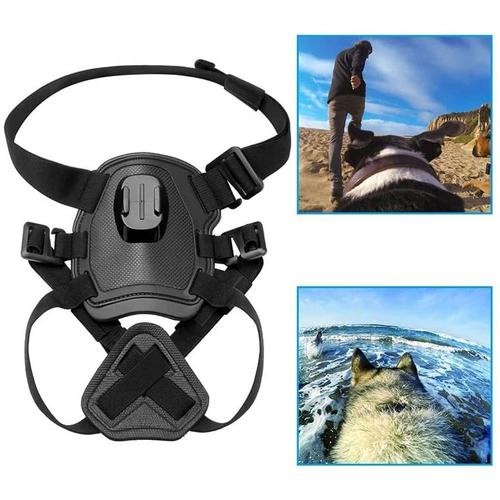 Harnais Chien (Petit & grande taille) - GOPRO Accessoires