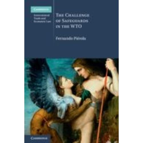 The Challenge Of Safeguards In The Wto