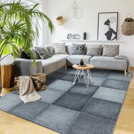 Tapis Salon Ontaria Argent 140x200 Oeko Tex® En Polypropylène Doux Et Soyeux