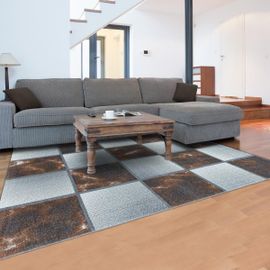 Tapis Salon Ontario Marron 140x200 Oeko Tex® En Polypropylène Doux Et Soyeux