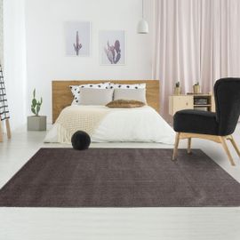 Tapis Salon Soula Marron 140x200 Oeko Tex® En Polypropylène Doux Et Soyeux