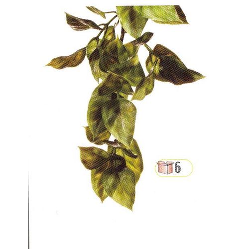 Plante En Plastique Amapallo Exo Terra, Pour Terrariums M - Pt 3011 - 40 X 15 Cm