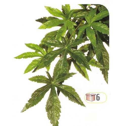 Plante En Soie Abutilon Exo Terra, Pour Terrariums L - Pt 3052 - 70 Cm