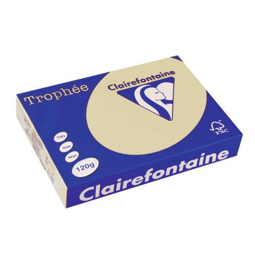 Clairefontaine Lot de 5 Ramettes 250 Feuilles Papier 120g A4 210x297 mm Certifié FSC  CHAMOIS