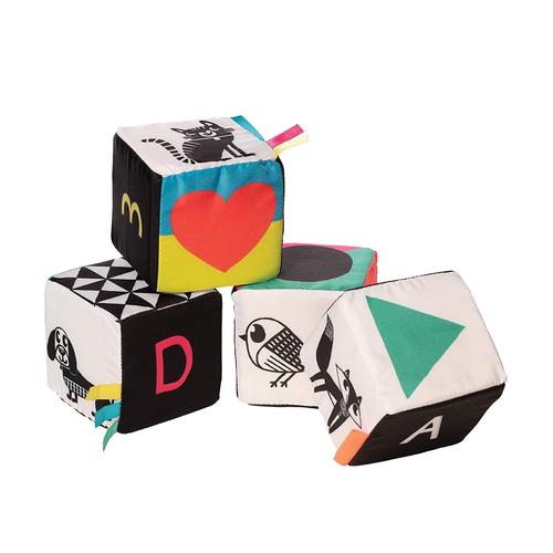 Manhattan Toy Wimmer Ferguson Mind Cubes