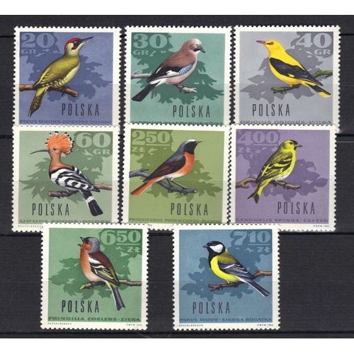 Pologne 1966 : Oiseaux Des Forêts : Pivert/Geai/Loriot/Huppe/Rouge-Queue/Serin/Pinson/Mésange À Tête Noire - Série Entière De 8 Timbres Neufs ** Cote 14 ¿ 